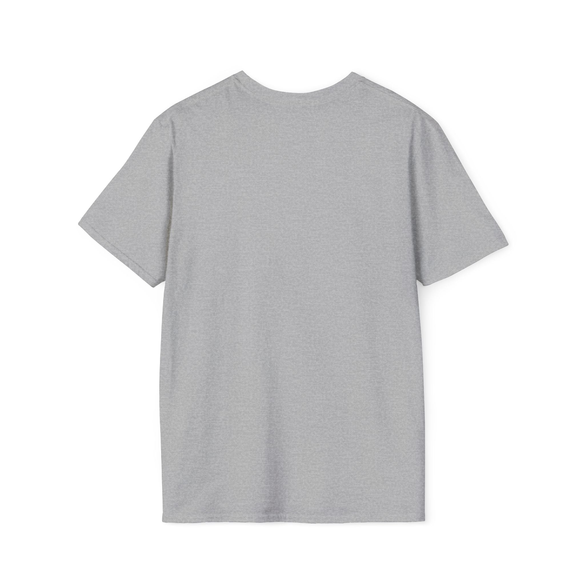 "Big Beak Energy" Pelican Graphic T-Shirt