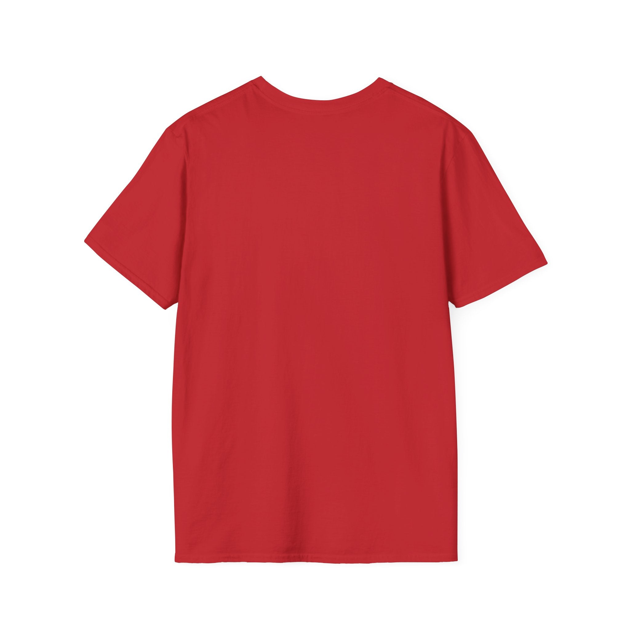 "Big Beak Energy" Pelican Graphic T-Shirt